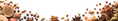 Spices