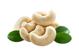 Premium Benin Cashew