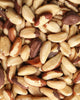 Peccan Nuts